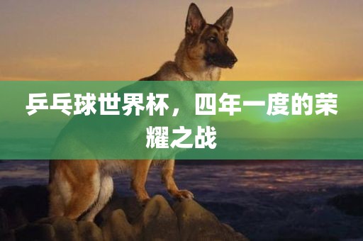 乒乓球世界杯，四年一度的荣耀之战