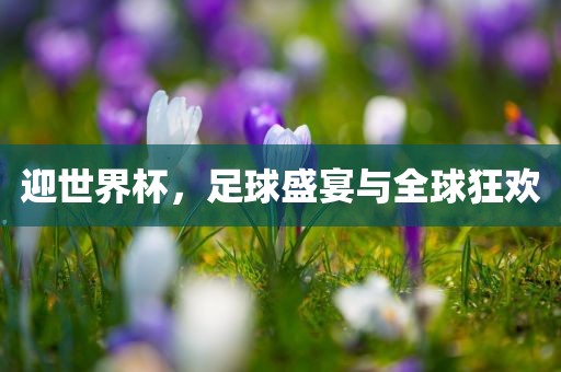 迎漯河市盈旭机械设备有限公司世界杯，足球盛宴与全球狂欢