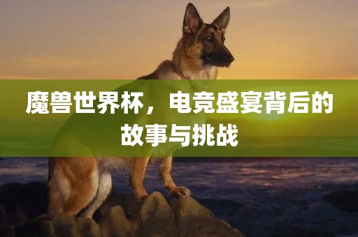 魔兽世界杯，电竞盛宴背后的故事与挑战漯河市盈旭机械设备有限公司