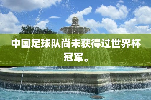 中国足球队尚未获得过世界杯冠军。