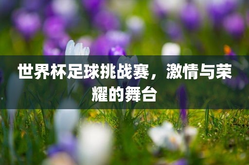 世界杯足球挑战赛，激情与荣耀的舞台漯河市盈旭机械设备有限公司
