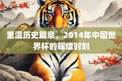 重温历史篇章，2014年中国世界杯的辉煌时刻漯河市盈旭机械设备有限公司
