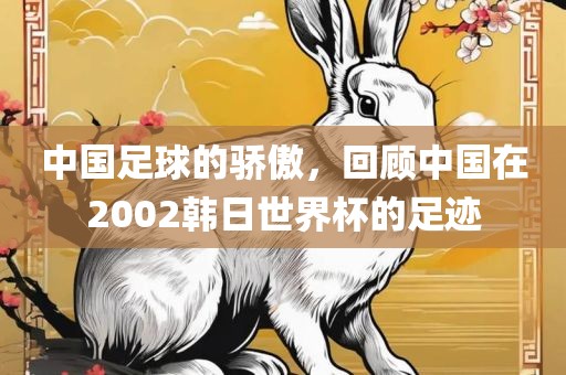 中国足球的骄傲，回顾中国在2002韩日世界杯的足迹