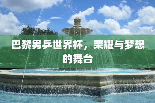 巴黎男乒世界杯，荣耀与梦想的舞台漯河市盈旭机械设备有限公司