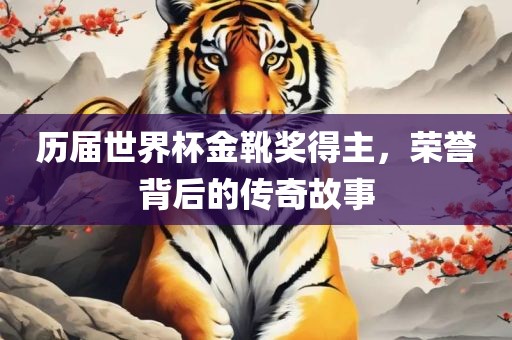 历届世界杯金靴奖得主，荣誉背后的传奇故事漯河市盈旭机械设备有限公司