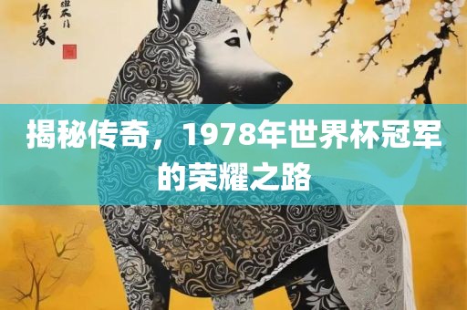 揭秘传奇，1978年世界杯冠军的荣耀之路
