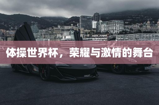 体操世界杯，荣耀与激情的舞台