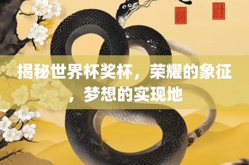 揭秘世界杯奖杯，荣耀的象征，梦想的实现地