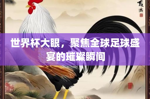 世界杯大眼，聚焦全球足球盛宴的璀璨瞬间