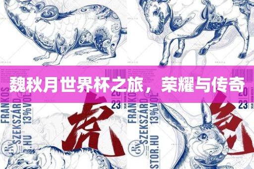 魏秋月世界杯之旅，荣耀与传奇漯河市盈旭机械设备有限公司