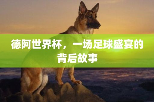德阿世界杯，一场足球盛宴的背后故事