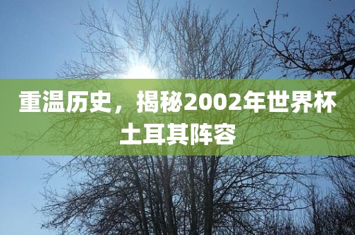 重温历史，揭秘2002年世界杯土耳其阵容