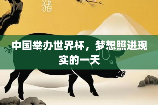 中国举办世界杯，梦想照进现实的一天