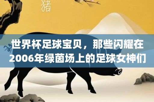 世界杯足球宝贝，那些闪耀在2006年绿茵场上的足球女神们