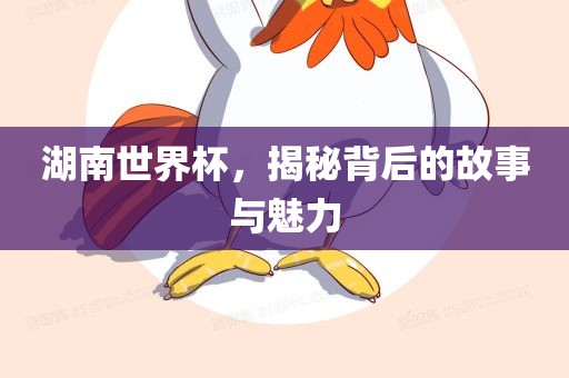 湖南世界杯，揭秘背后的故事与魅力