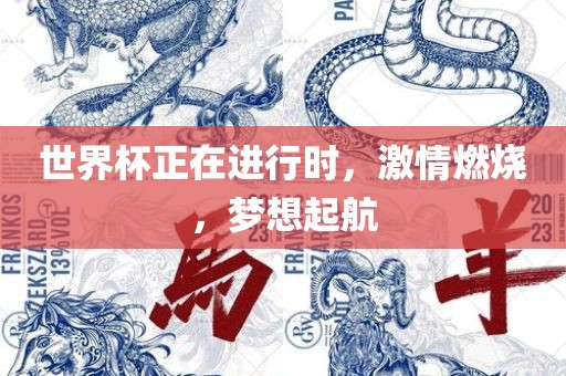 世界杯正在进行时，激情燃烧，梦想起航漯河市盈旭机械设备有限公司