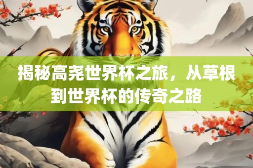 揭秘高尧世界杯之旅，从草根到世界杯的传奇之路