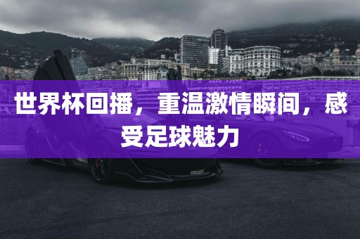 世界杯回播，重温激情瞬间，感受足球魅力漯河市盈旭机械设备有限公司