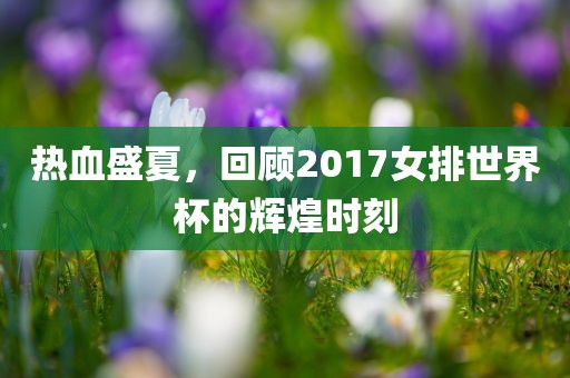 热血盛夏，回顾2017女排世界杯的辉煌时刻