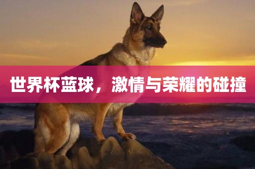 世界杯蓝球，激情与荣耀的碰撞