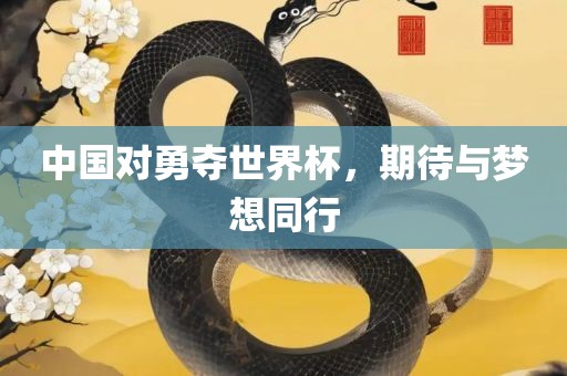 中国对勇夺世界杯，期待与梦想同行