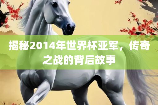 揭秘2014年世界杯亚军，传奇之战的背后故事漯河市盈旭机械设备有限公司