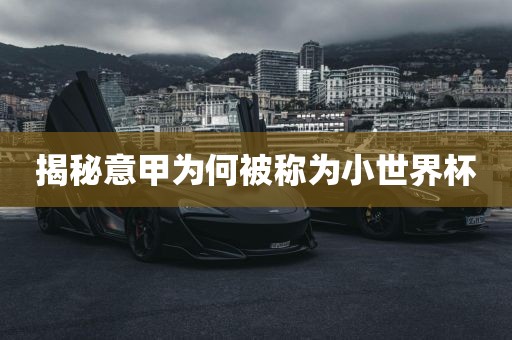 小世界杯