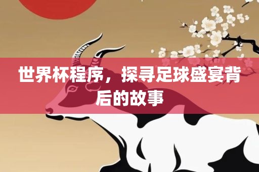 世界杯程序，探寻足球盛宴背后的故事