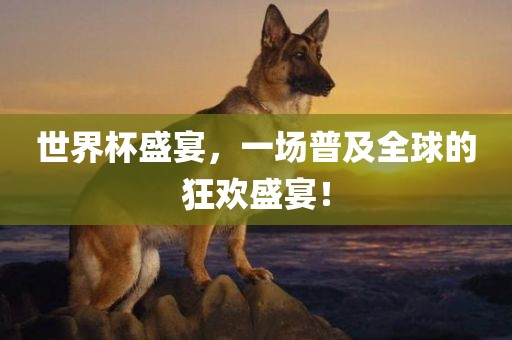 世界杯盛宴，一场普及全球的狂欢盛宴！