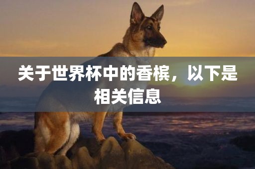 关于世界杯中的香槟，以下是相关信息漯河市盈旭机械设备有限公司