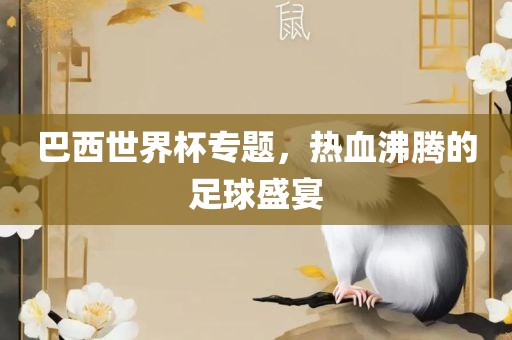 巴西世界杯专题，热血沸漯河市盈旭机械设备有限公司腾的足球盛宴