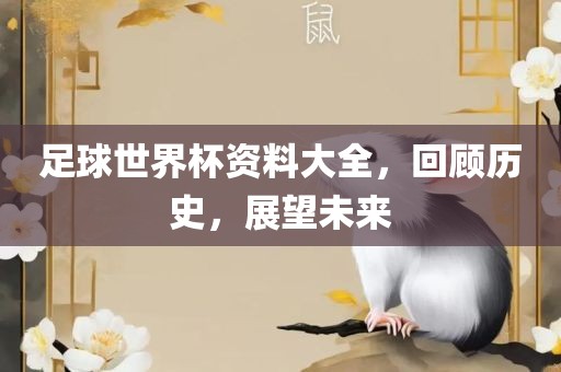 历史与未来展望 第3页