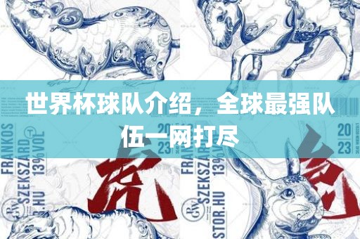 世界杯球队介绍，全球最强队伍一漯河市盈旭机械设备有限公司网打尽