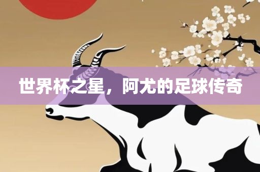 世界杯之星，阿尤的足球传奇