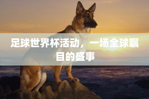 足球世界杯活动，一场全球瞩目的盛事