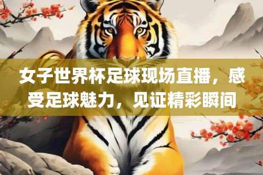 女子世界杯足球现场直播，感受足球魅力，见证精彩瞬间漯河市盈旭机械设备有限公司