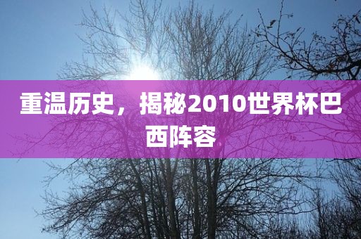 重温历史，揭秘2010世界杯巴西阵容