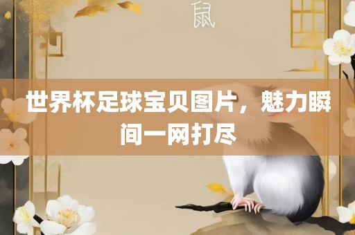 世界杯足球宝贝图片，魅力瞬间一网打尽