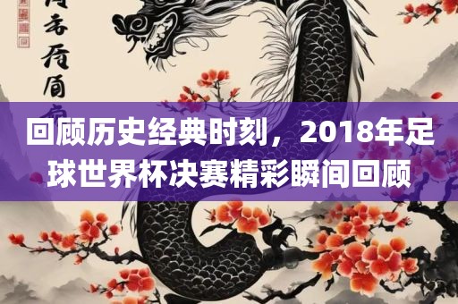 回顾历史经典时刻，2018年足球世界杯决赛精彩瞬间回顾漯河市盈旭机械设备有限公司