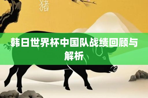 韩日世界杯中国队战绩回顾与解析
