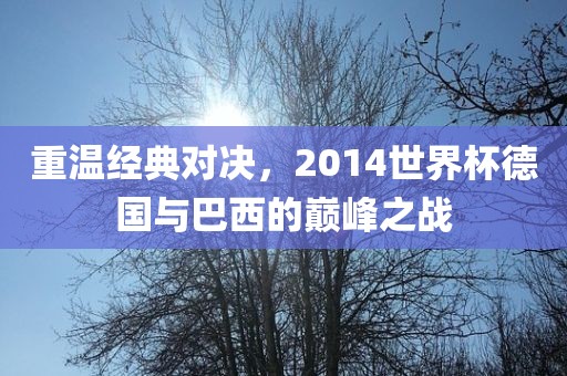 重温经典对决，2014世界杯德国与巴西的巅峰之战