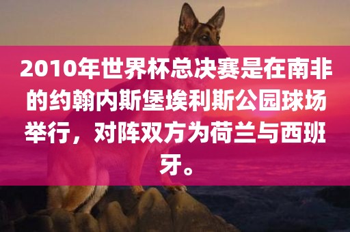2010年世界杯总决赛是在南非的约翰内斯堡埃利斯公园球场举行，对阵双方为荷兰与西班牙。