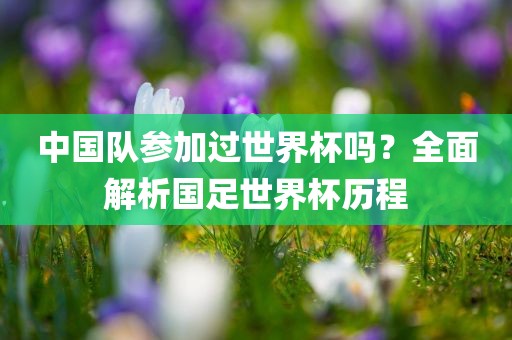 中国队参加过世界杯吗？全面解析国足世界杯历程漯河市盈旭机械设备有限公司