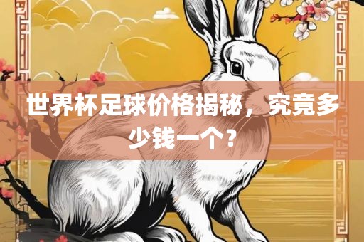 世界杯足球价格揭秘，究竟多少钱一个？