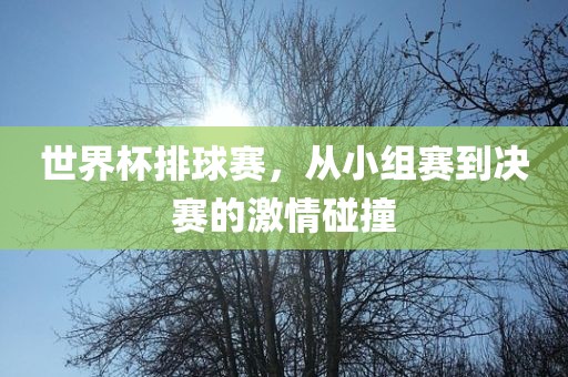 世界杯排球赛，从小组赛到决赛的激情碰撞