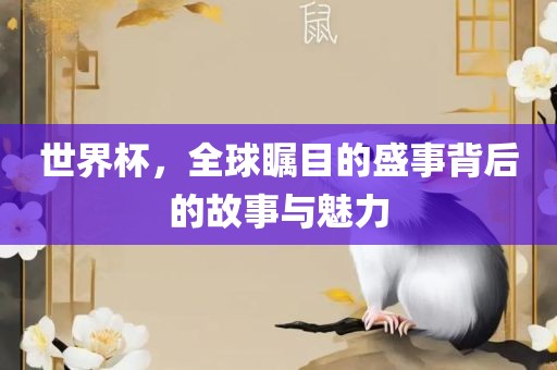 世界杯，全球瞩目的盛事背后的故事与魅力