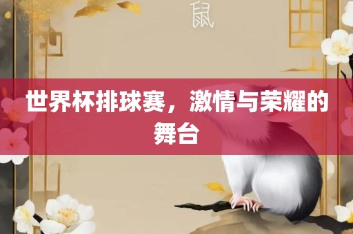 世界杯排球赛，激情与荣耀的舞台