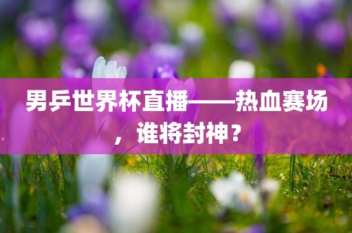 男乒世界杯直播——热血赛场，谁将封神？