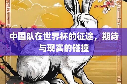 中国队在世界杯的征途，期待与现实的碰撞