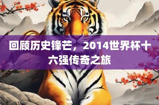 回顾历史锋芒，2014世界杯十六强传奇之旅漯河市盈旭机械设备有限公司